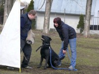 /album/ruzne/max-22-9-09-5-jpg/